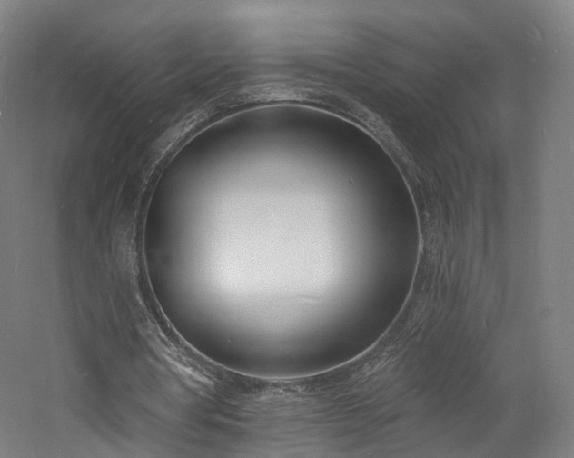 X0000060740386200511101114