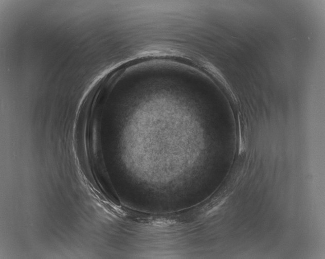 X0000060740387200511101113