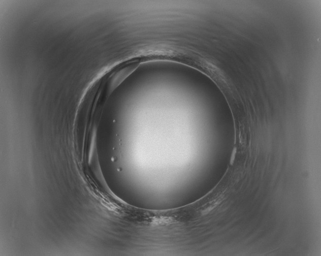 X0000060740388200511101113