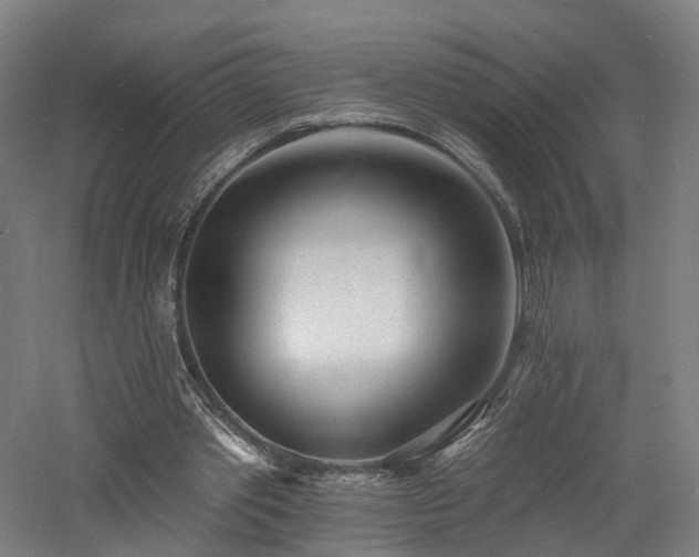 X0000060740389200511101113