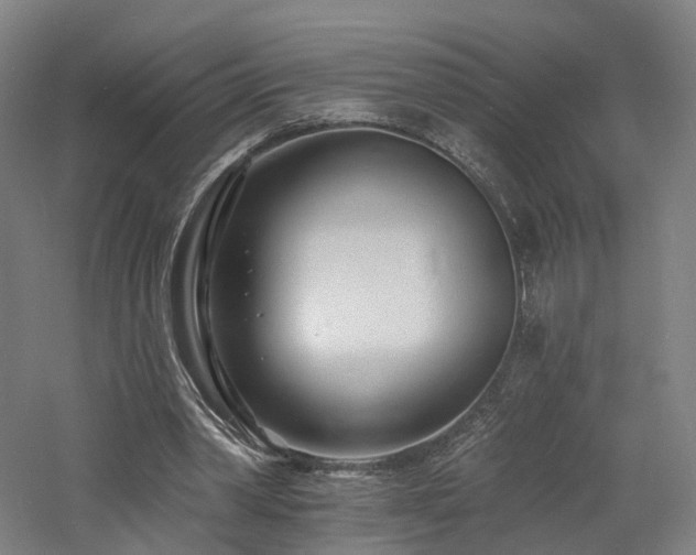 X0000060740390200511101113