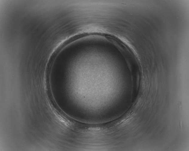 X0000060740391200511101113