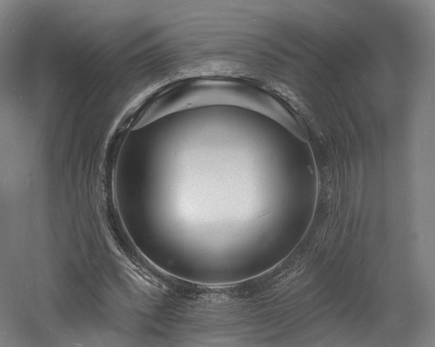 X0000060740392200511101113