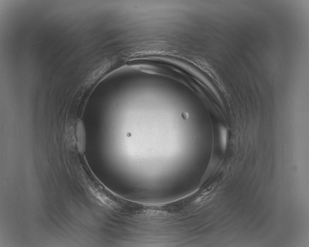 X0000060740393200511101113