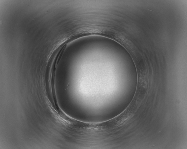 X0000060740394200511101113