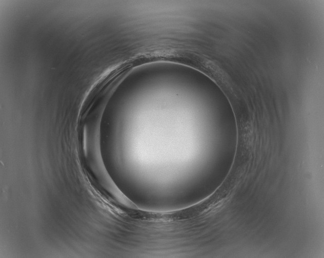 X0000060740395200511101113