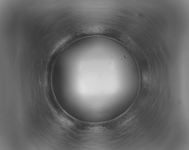 X0000060740396200511101113