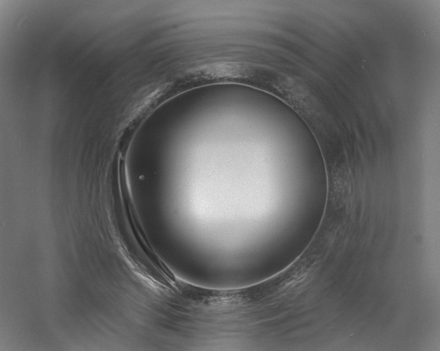 X0000060740398200511101113