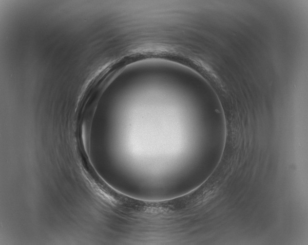 X0000060740399200511101113