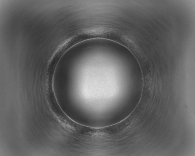 X0000060740400200511101113