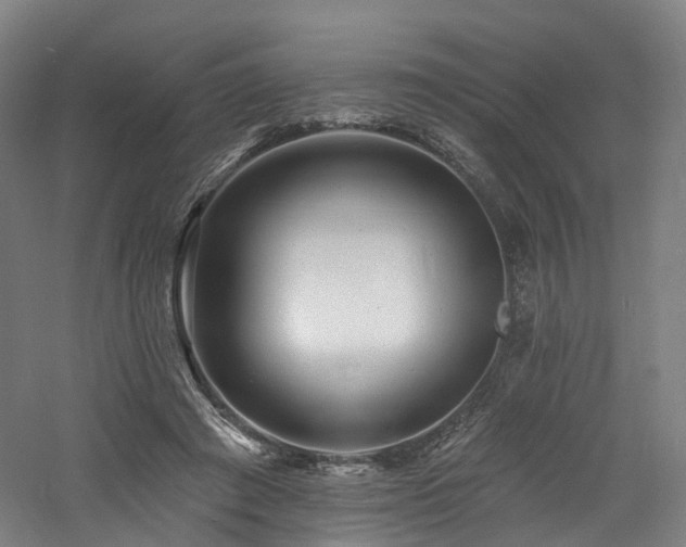 X0000060740401200511101113