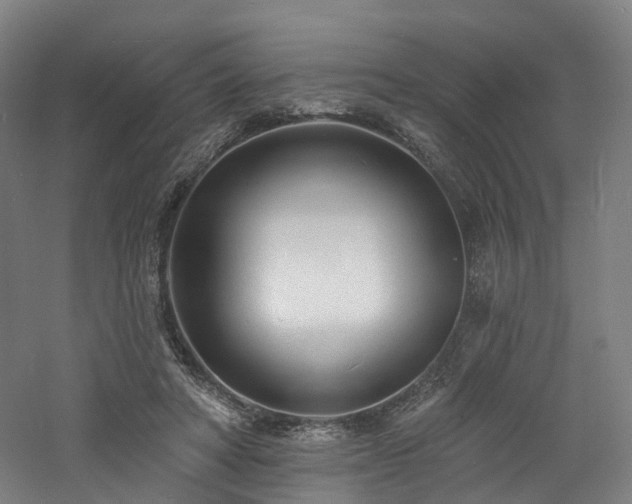 X0000060740402200511101113