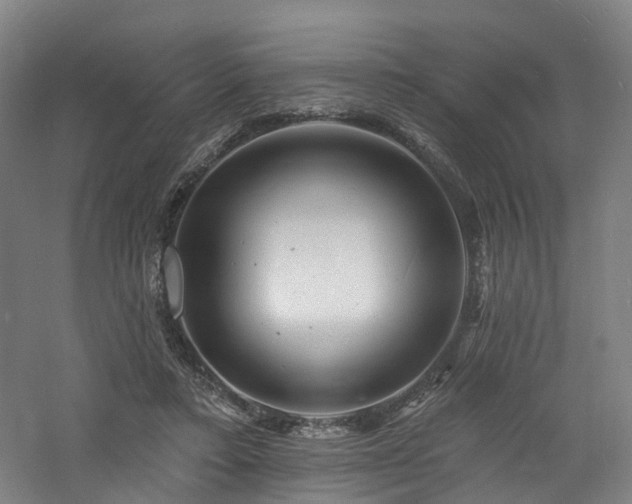 X0000060740403200511101113