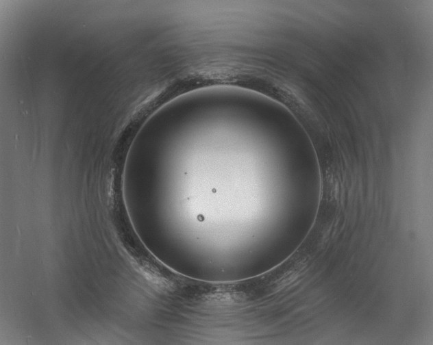 X0000060740404200511101113