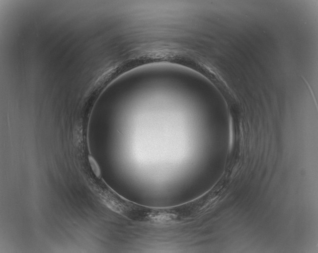 X0000060740407200511101113