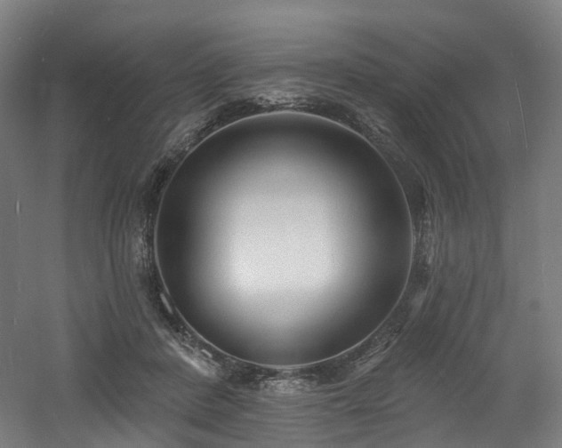 X0000060740408200511101113