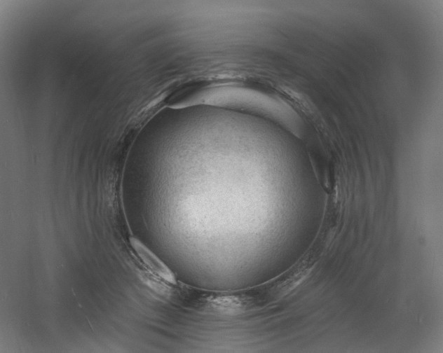 X0000060740409200511101113