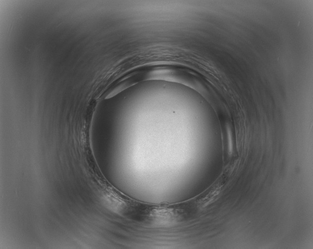 X0000060740413200511101113