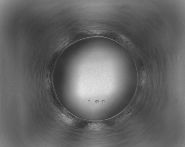 X0000060740414200511101113