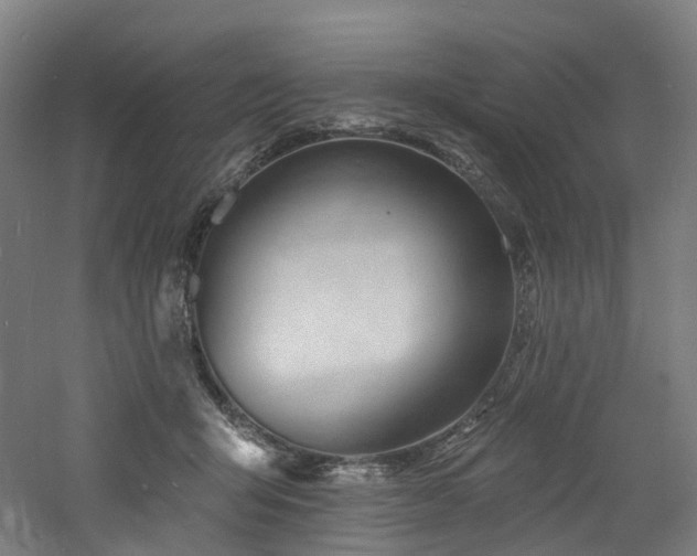 X0000060740415200511101113