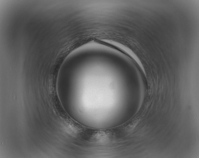 X0000060740416200511101113