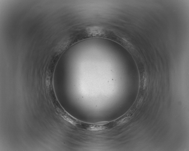 X0000060740417200511101113