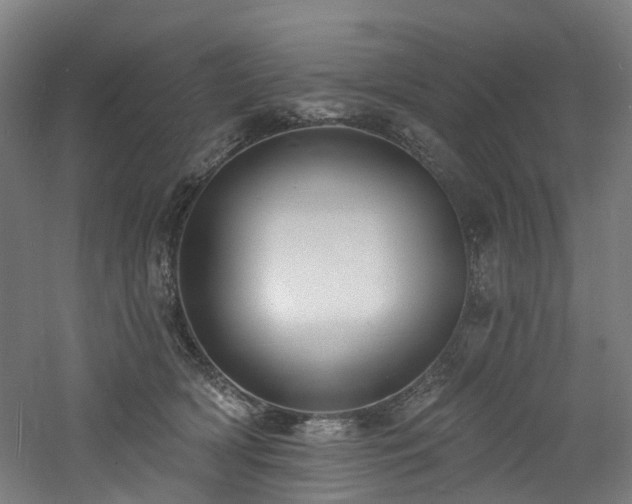 X0000060740418200511101113