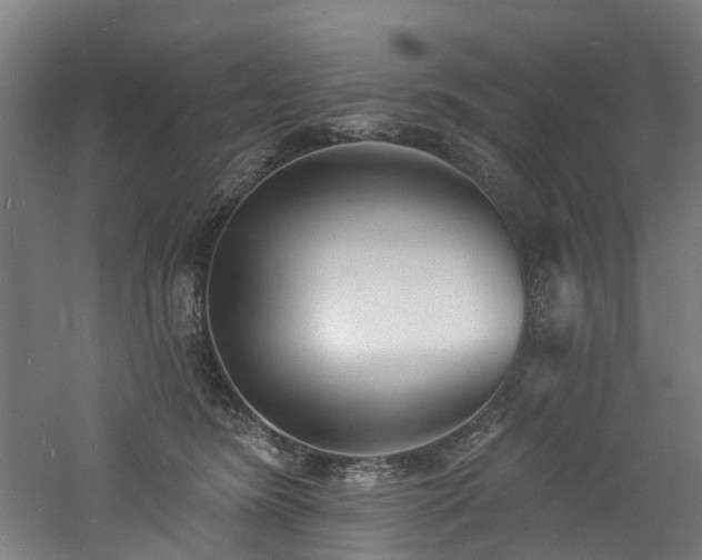 X0000060740420200511101113