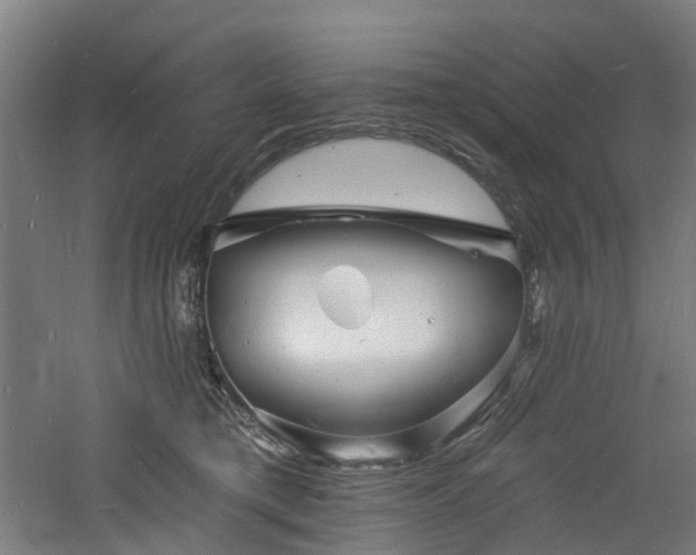 X0000060740421200511101113