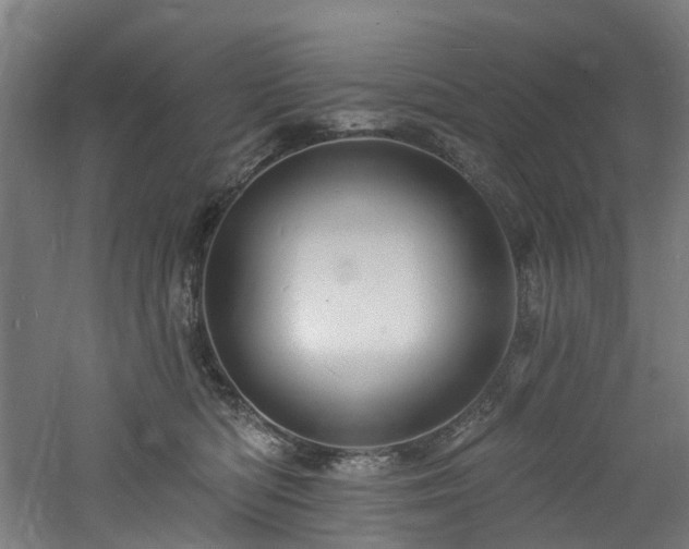 X0000060740422200511101113