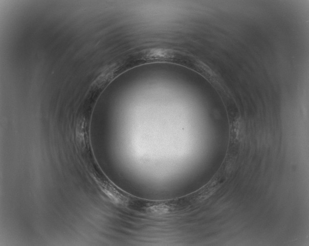 X0000060740423200511101113