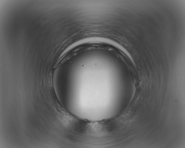 X0000060740425200511101113