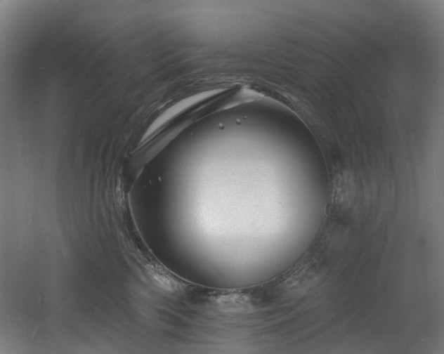 X0000060740426200511101113