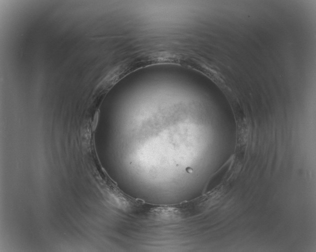 X0000060740427200511101113