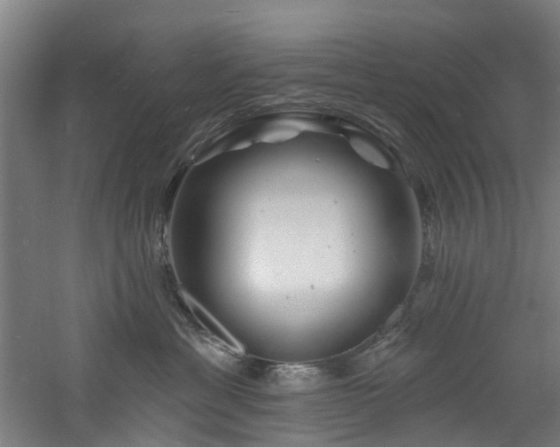 X0000060740429200511101113