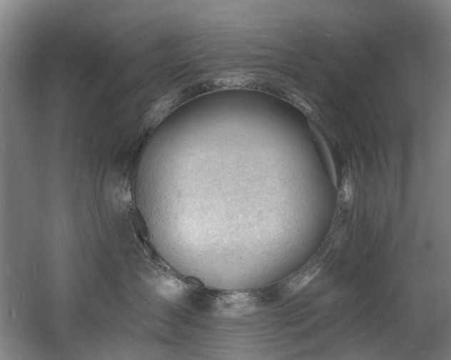 X0000060740431200511101113