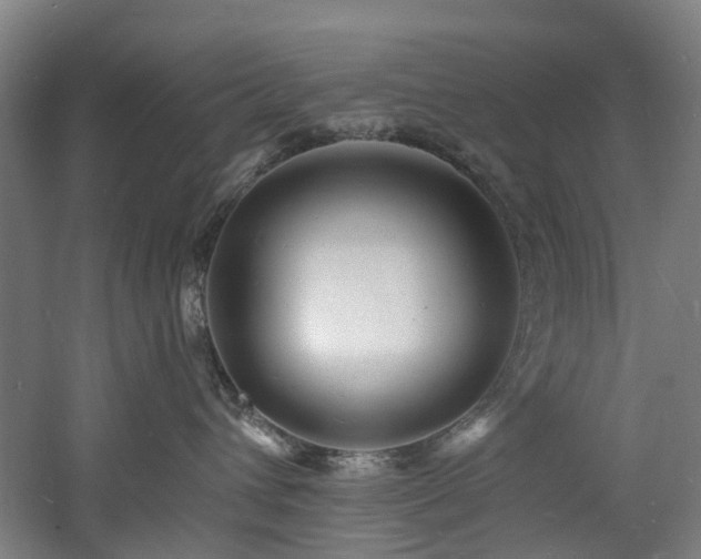 X0000060740432200511101113