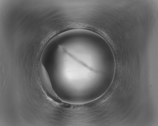 X0000060740433200511101112