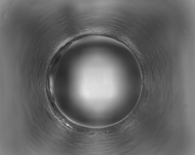 X0000060740434200511101112