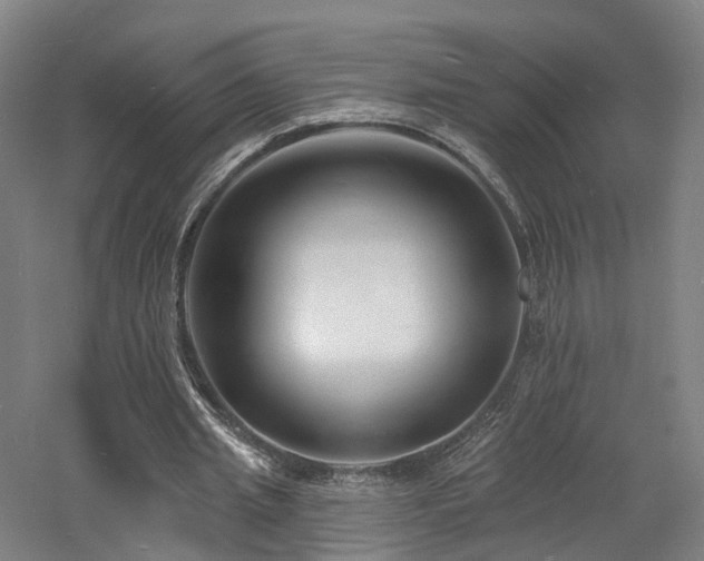 X0000060740437200511101112