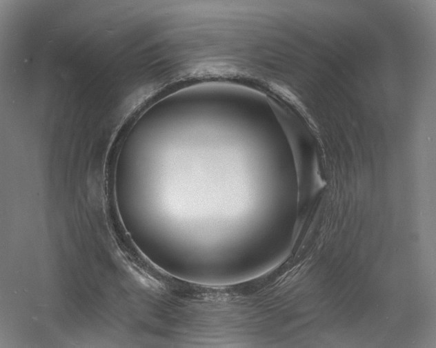 X0000060740439200511101112