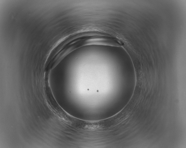 X0000060740440200511101112