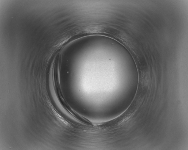 X0000060740441200511101112