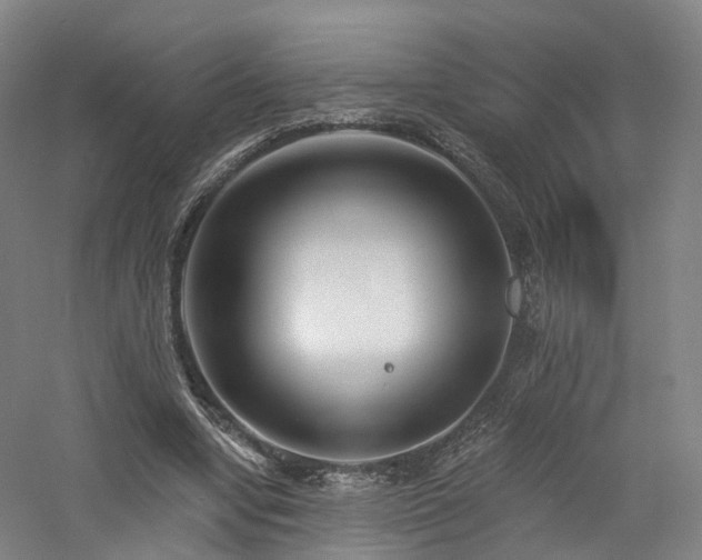 X0000060740442200511101112