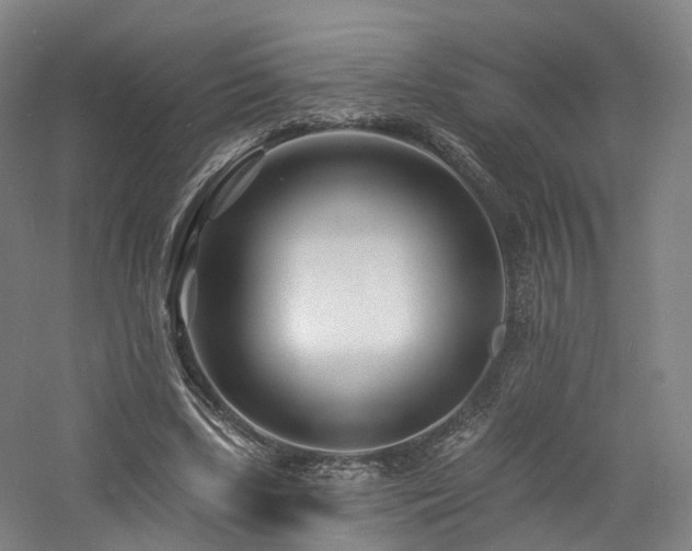 X0000060740443200511101112