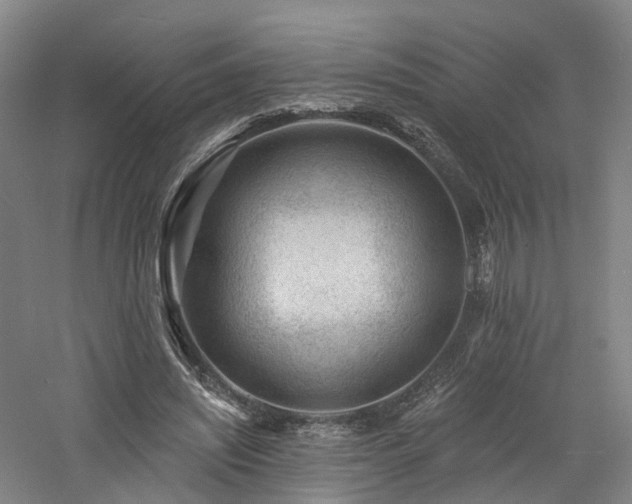 X0000060740444200511101112