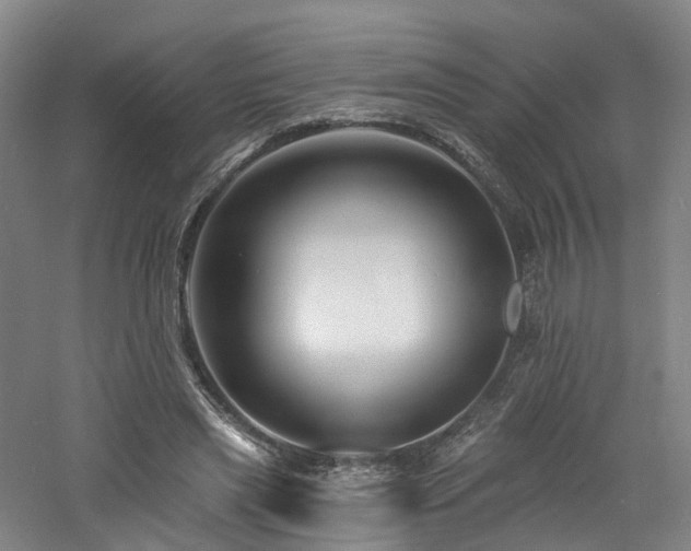 X0000060740445200511101112