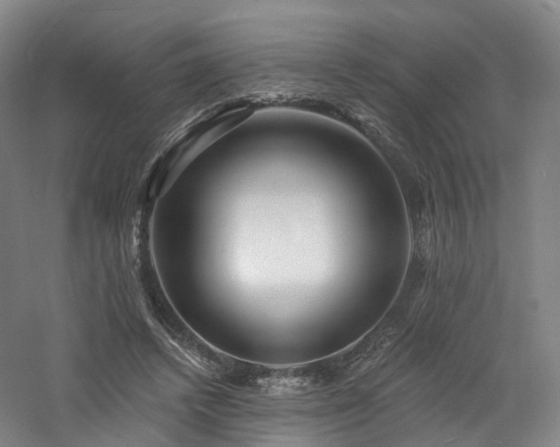 X0000060740448200511101112