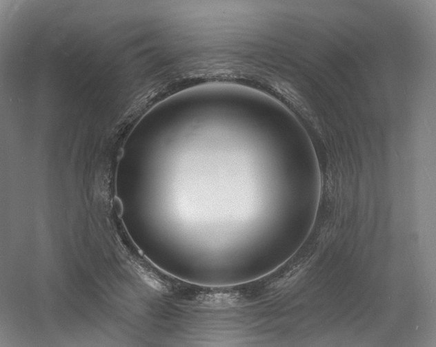 X0000060740449200511101112