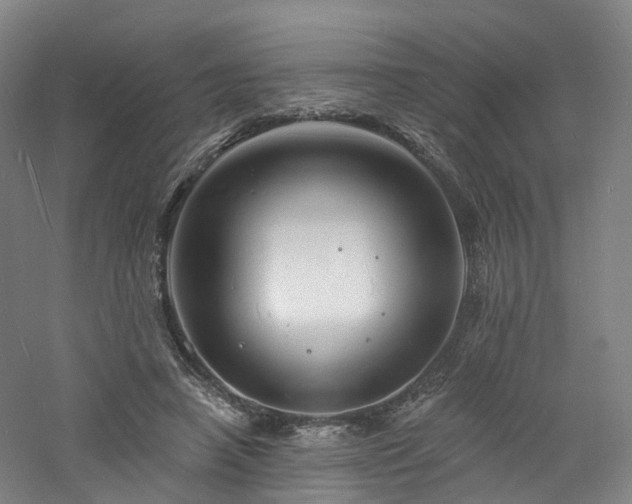 X0000060740450200511101112